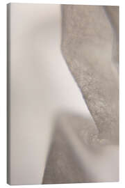 Leinwandbild Transluzent Beige - Art Couture