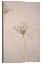 Leinwandbild Trockenblumen in der Abendsonne - Art Couture