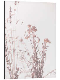 Alubild Gräser im Licht - Art Couture