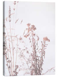 Leinwandbild Gräser im Licht - Art Couture