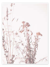 Wandbild Gräser im Licht - Art Couture