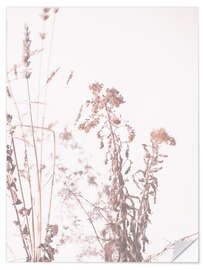 Wandsticker Gräser im Licht