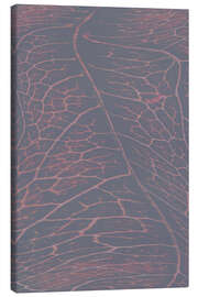 Leinwandbild Botanical Structure - Art Couture