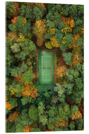 Acrylic print Tennis court in the middle of a forest during autumn - Martin Podt