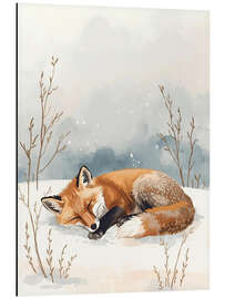 Alubild Schlafender Fuchs im Schnee