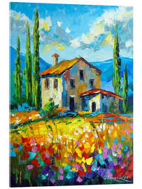 Acrylglasbild Regenbogen-Landhaus - Olha Darchuk