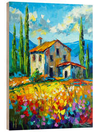 Holzbild Regenbogen-Landhaus - Olha Darchuk