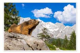 Wandbild Alpenmurmeltier vor Bergkulisse - Moqui, Daniela Beyer