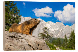 Holzbild Alpenmurmeltier vor Bergkulisse - Moqui, Daniela Beyer