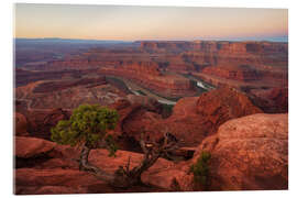 Acrylglasbild Dead Horse Point bei Sonnenaufgang, Wüste von Utah - Martin Podt