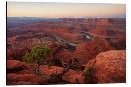 Aluminium print Dead Horse Point at Sunrise, Utah Desert - Martin Podt