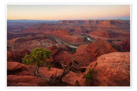Poster Dead Horse Point bei Sonnenaufgang, Wüste von Utah - Martin Podt