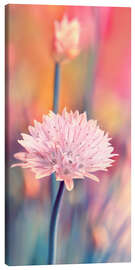 Leinwandbild Schnittlauchblüte