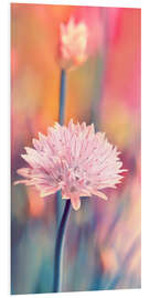 Hartschaumbild Schnittlauchblüte