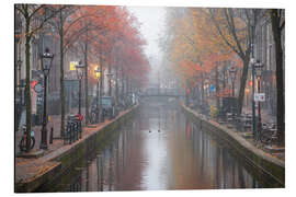 Alubild Herbstbäume in den Amsterdamer Kanälen - George Pachantouris