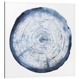 Alubild Baumringüberlagerung I - Grace Popp