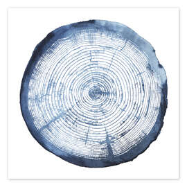 Wandbild Baumringüberlagerung I - Grace Popp
