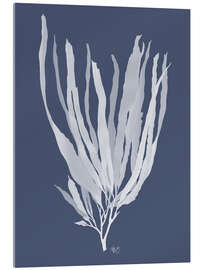Acrylglasbild Seetangweiß auf Indigoblau