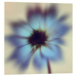 Acrylglasbild Psychedahlia II - Victoria Barnes