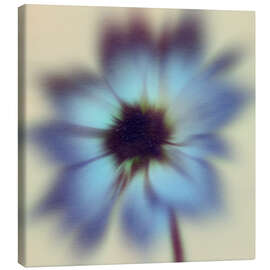 Leinwandbild Psychedahlia II - Victoria Barnes