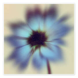 Wandbild Psychedahlia II - Victoria Barnes