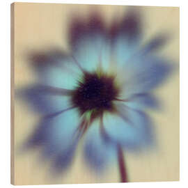 Holzbild Psychedahlia II - Victoria Barnes