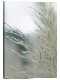 Leinwandbild Subtle Grasses II