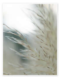 Poster Subtle Grasses II