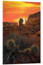 Tableau en verre acrylique Cactus in Monument Valley during sunset - Martin Podt