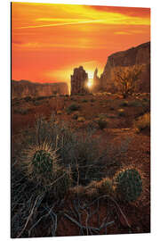 Tableau en aluminium Cactus in Monument Valley during sunset - Martin Podt