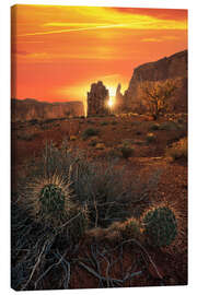 Leinwandbild Kaktus im Monument Valley bei Sonnenuntergang - Martin Podt