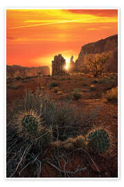 Poster Kaktus im Monument Valley bei Sonnenuntergang - Martin Podt
