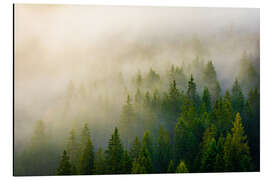 Alubild Wald im Nebel
