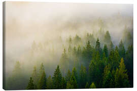 Leinwandbild Wald im Nebel
