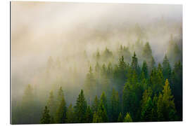 Gallery Print Wald im Nebel