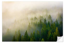 Wandsticker Wald im Nebel