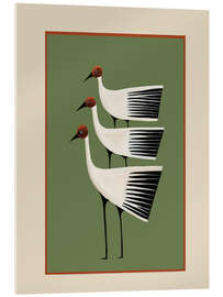 Acrylglasbild Striped Bird Trio I