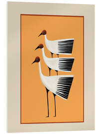 Acrylglasbild Striped Bird Trio II
