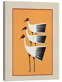 Leinwandbild Striped Bird Trio II