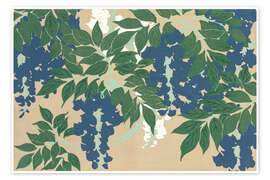 Poster Wisteria (Fuji), 1909 - Kamisaka Sekka