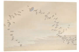 Acrylglasbild Tausend Gräser, Pl 09, 1900 - Kamisaka Sekka