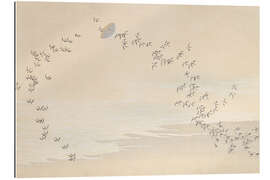 Gallery Print Tausend Gräser, Pl 09, 1900