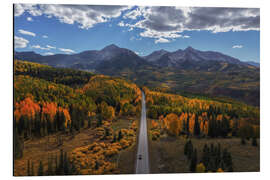 Aluminium print Autumn road in the mountains of Colorado, USA - Martin Podt