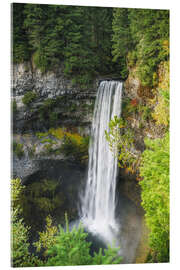 Acrylglasbild Brandywine Falls, British Columbia, Kanada - Chiara Salvadori
