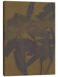 Leinwandbild Sanfte Blüten II - Shatha Dafai