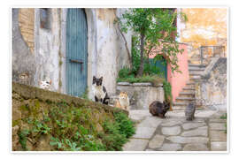 Wandbild Katzen in einer malerischen Gasse auf Korfu - Katho Menden
