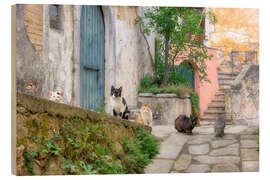 Holzbild Katzen in einer malerischen Gasse auf Korfu - Katho Menden