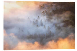 Acrylglasbild Wald im Morgennebel