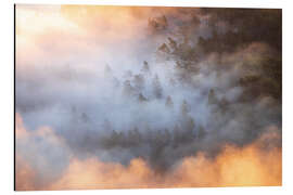 Alubild Wald im Morgennebel