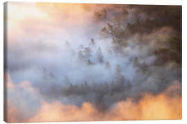 Leinwandbild Wald im Morgennebel